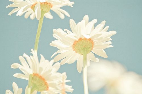 ��ʱ����ƽ��������������ȥ (7)