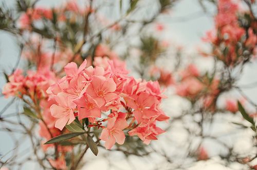 ����������¾��ã��������� (2)