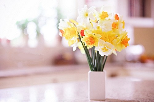 �˵��ϰ�����Ҫ����ԥ���˵��°�����Ҫ�����