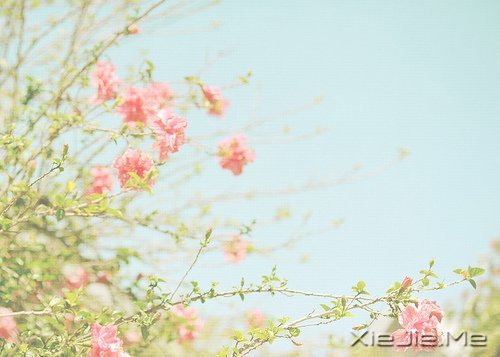 ֻҪ�����ߣ��ܻῴ������ (9)