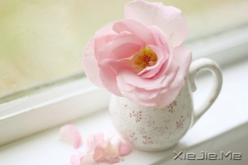 ѡ��������£�ڹ�Ϳ��������� (6)