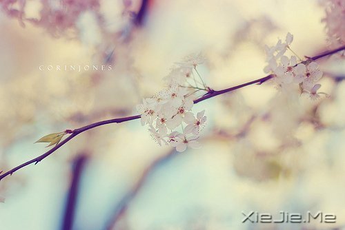 ���Լ��ķ羰�����Լ������� (9)