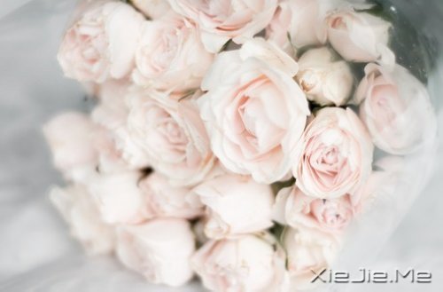 ��׷��ʲô����ȥŬ���� (7)