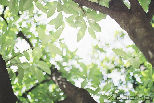 有些事,笑笑就能过去 (8)