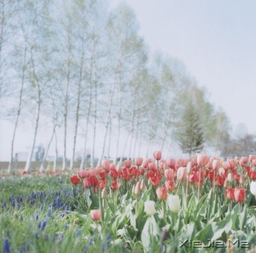 爱自己的人,才会有人爱 (8)