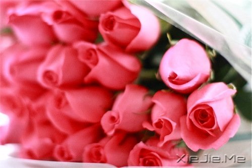 ʱ��������ֻ������һȥ���� (5)