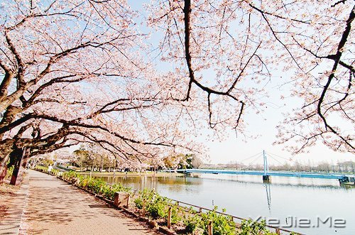 ֻҪ���Ĳ��ң����ͺ��Ѹı���ʲô (2)