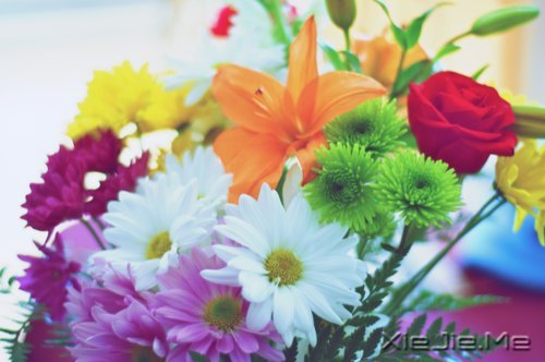 不要踩着别人的脚印,找自己的路 (4)