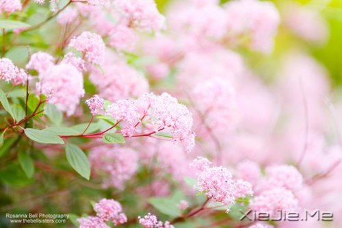 不要踩着别人的脚印,找自己的路 (5)