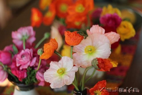 花开为谁谢,花谢为谁悲 (8)