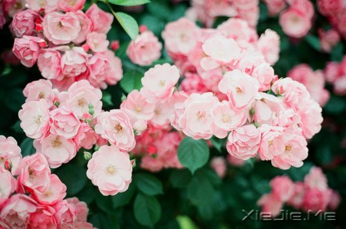 ������һ������ʵ��һ�������� (9)