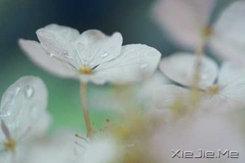 晚安心语:找到完美的路 (10)