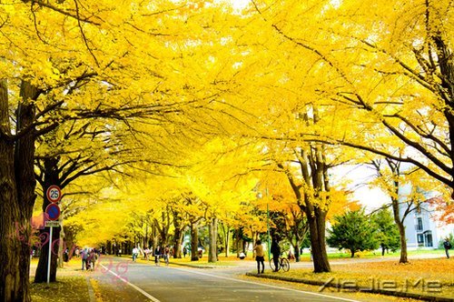 晚安心语:你看到什么样的世界,你就拥有什么样的内心 (2)