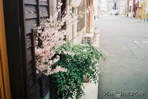 晚安心语:时间不仅让你看透别人,也让你认清自己 (4)