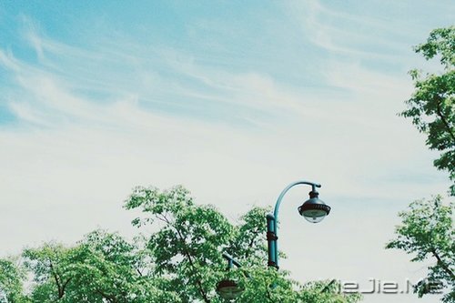 早安心语:人生与命运无关,与自己的选择有关 (8)