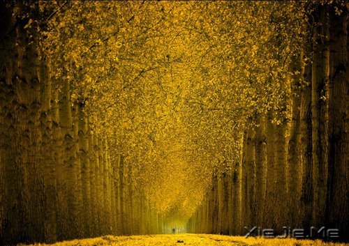 晚安心语:一个人害怕孤独,两个人害怕辜负 (3)