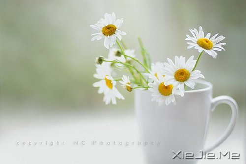 �簲�������ʱҪ������ʧ��ʱҪ���� (8)