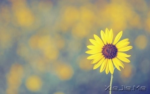 �����������Ҫ�ģ�һֱ�ܼ� (4)