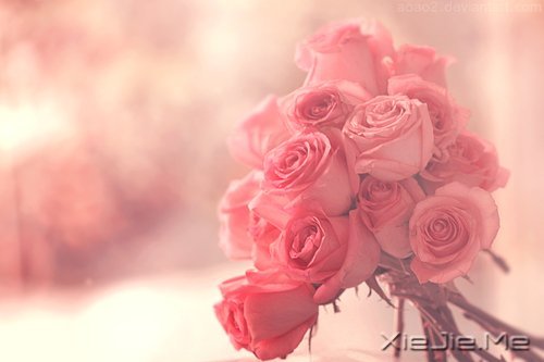 晚安心语:遇见,就是幸福 (2)