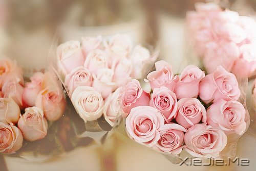 晚安心语:遇见,就是幸福 (4)