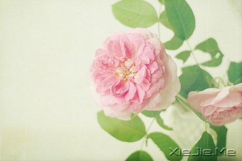 �ʵ��ķ��������������ŵ�ת�� (4)