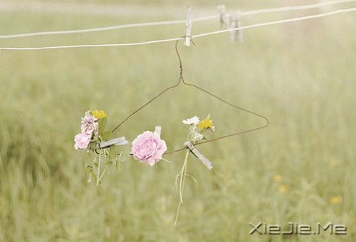 过自己喜欢的生活,喜欢自己过的生活 (4)