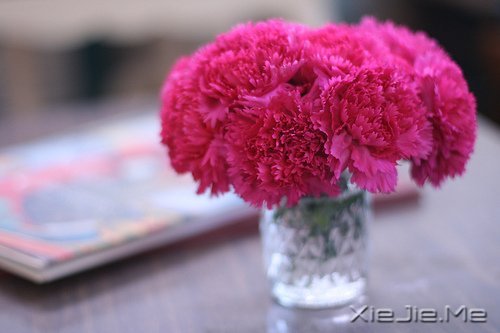 晚安心语:收拾心情,重新上路 (1)