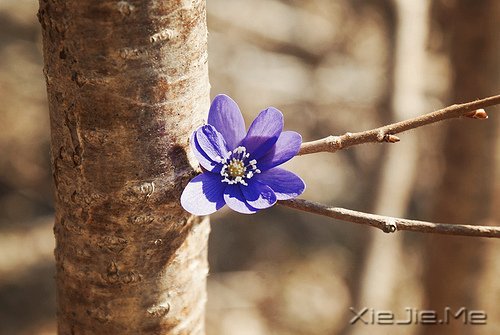 晚安心语:收拾心情,重新上路 (2)