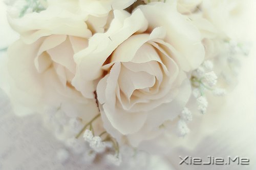 晚安心语:收拾心情,重新上路 (6)