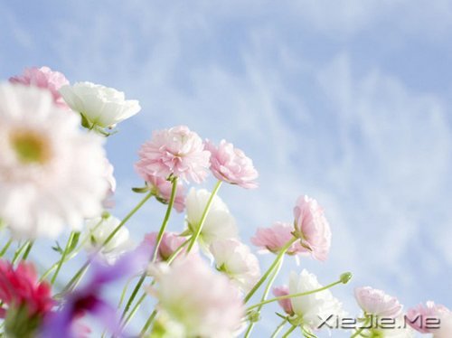 晚安心语:收拾心情,重新上路 (4)