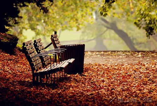 早安心语:人生如行云流水,自在、安详 (7)