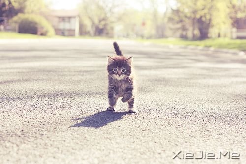 ��������ҿ�����û��û�Σ�����ʵ��˭���������� (8)