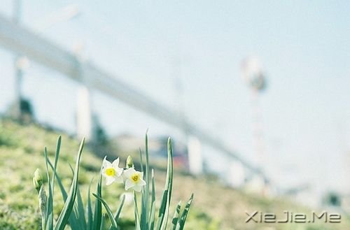 晚安心语:停在风景里,为自己唱首歌 (10)