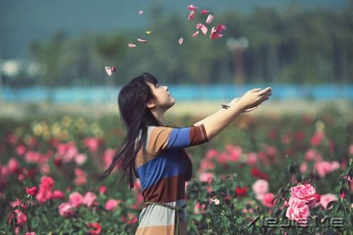 早安心语:阳光,源自你内心的澄澈 (6)