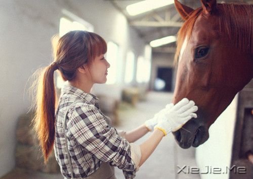 早安心语:勇于开始,才能找到成功的路 (4)