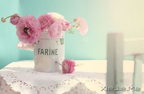 �簲���˭������˵���㣬���������˶��ܵ��� (4)