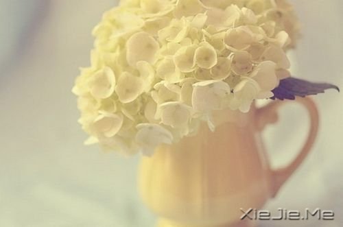 晚安心语:不争,也有属于你的世界 (1)