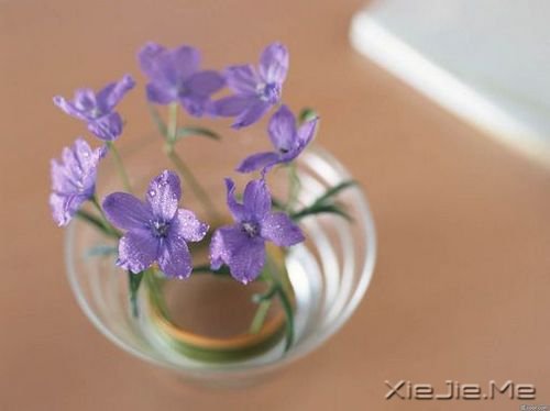 �簲��������������������� (1)