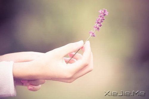 晚安心语:谁经得起浮华的绚烂,谁就经得起流年的平淡 (10)