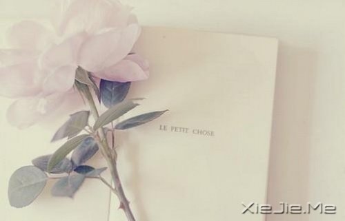 早安心语:幸福是一段旅程,而不是一个终点 (5)