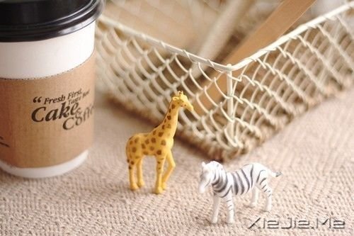 早安心语:用所有的勇气,撑起最灿烂的笑容 (10)