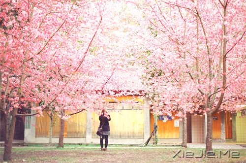 早安心语:逆风的方向,更适合飞翔 (1)