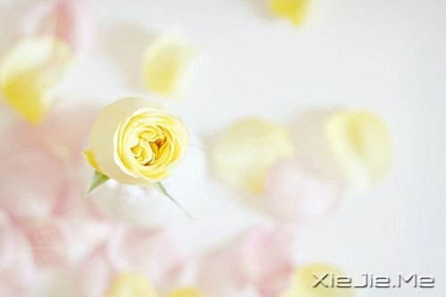 早安心语:成功的速度一定要超过父母老去的速度 (3)