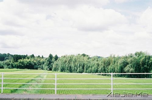 早安心语:自己的笑容才是最美的风景 (6)