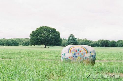 早安心语:自己的笑容才是最美的风景 (7)