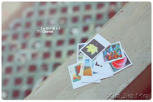 早安心语:手松开,你拥有的是一切 (6)