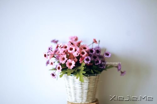 晚安心语:你笑,全世界跟着笑 (1)