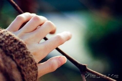 晚安心语:牵手走下去,直到地老天荒 (1)