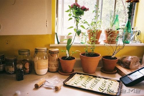 早安心语:有些人只适合思念 (8)