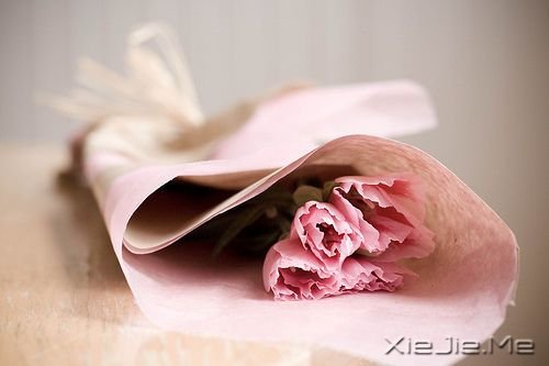 早安心语:挨得住多深的诋毁,就经得住多大的赞美 (2)